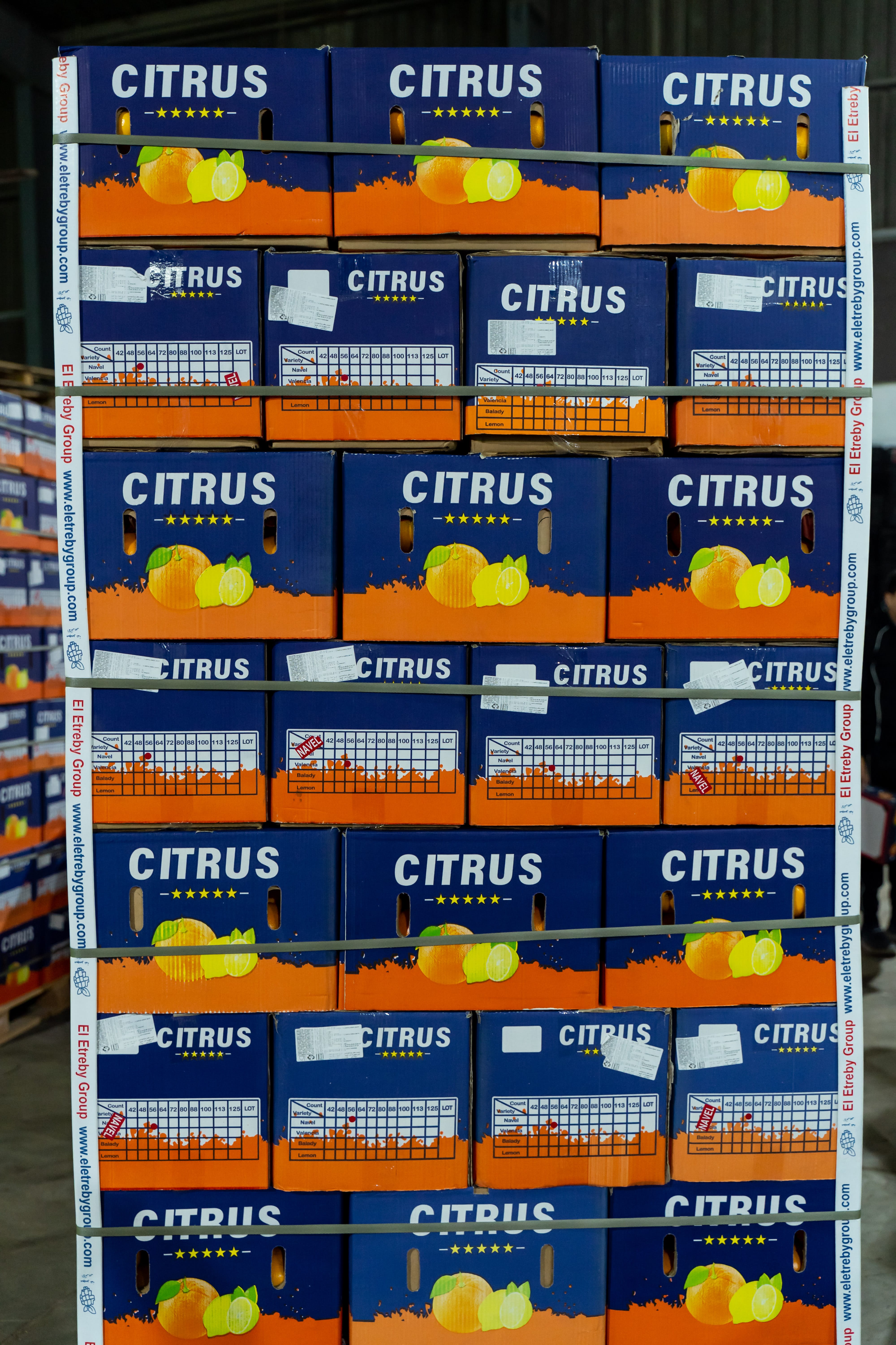 Eletreby Group Gallery Image 10