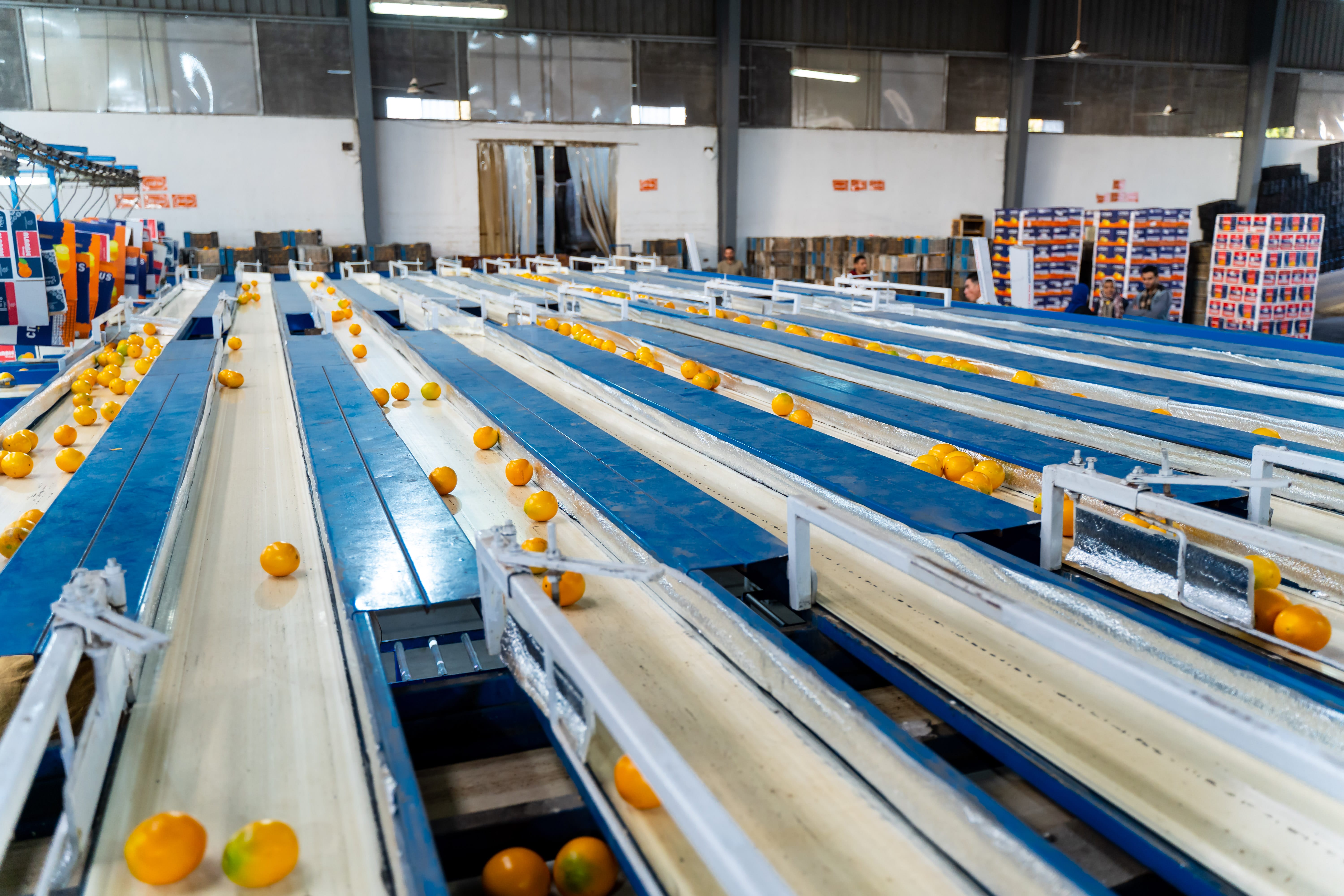 Eletreby Group Gallery Image 4