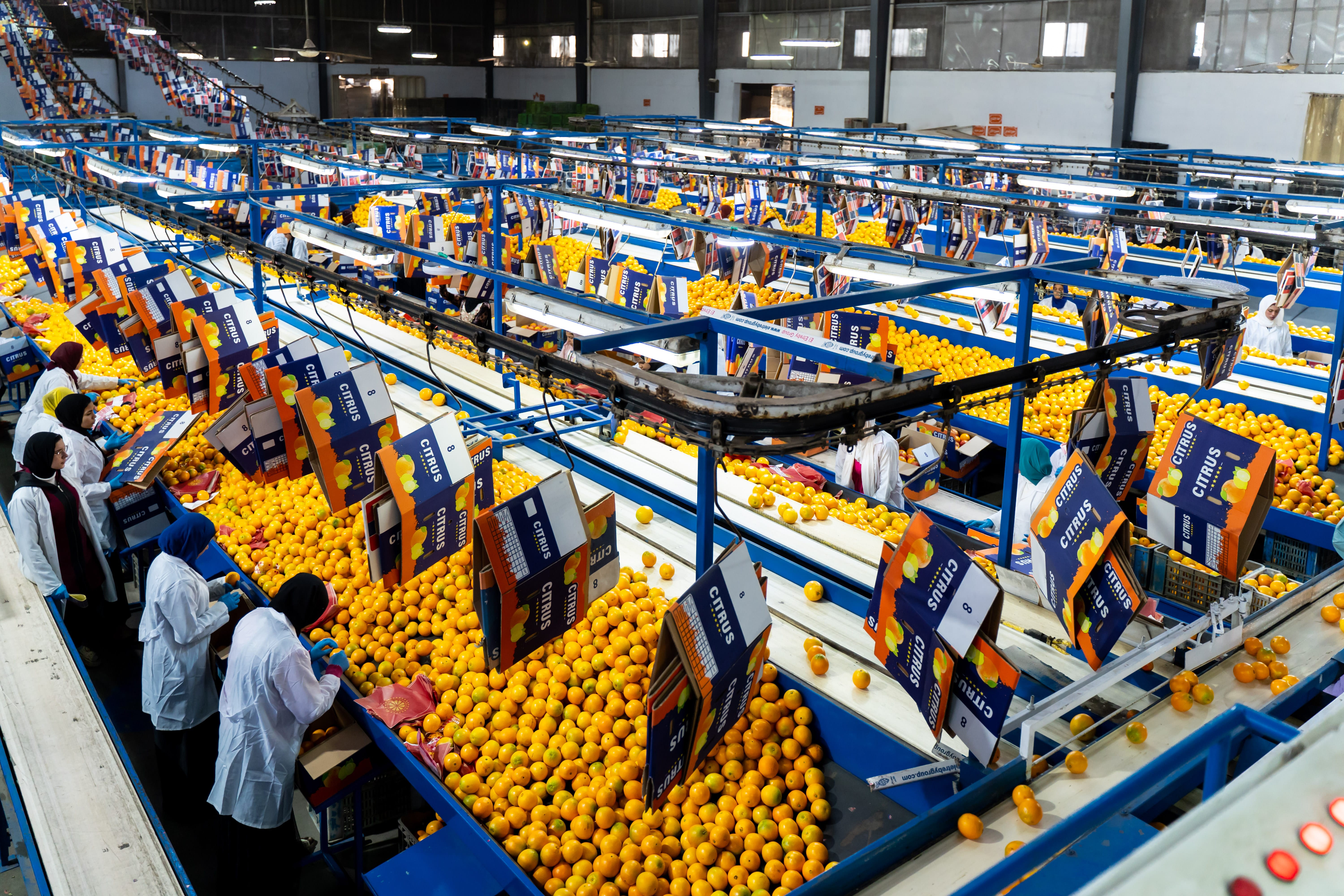 Eletreby Group Gallery Image 6